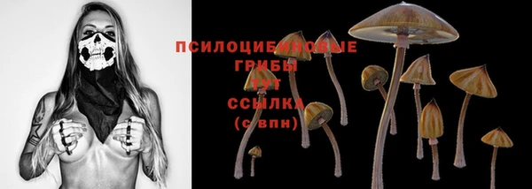 первитин Богородск