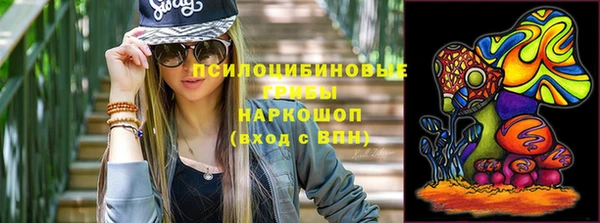 дурь Арсеньев
