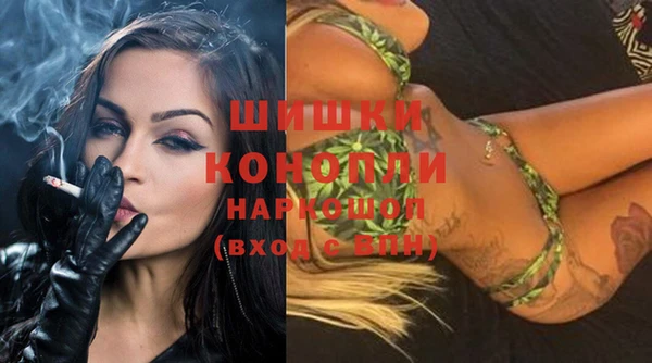 кокс Богородицк